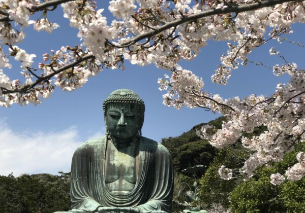 Japan im Frühling erleben