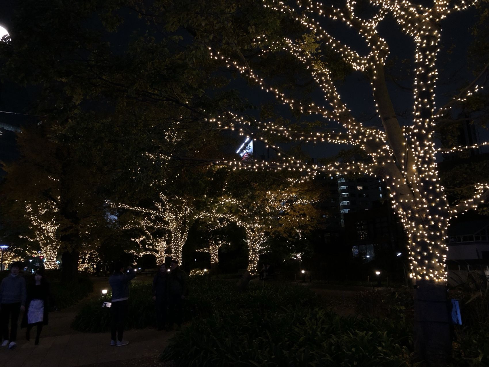 Warmweiße Lichterketten in den Bäumen von Tokyo Midtown